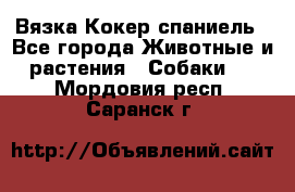 Вязка Кокер спаниель - Все города Животные и растения » Собаки   . Мордовия респ.,Саранск г.